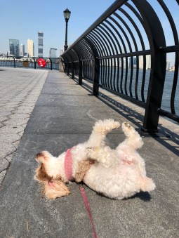 033540fa-35f9-4287-b044-6cb5cc462625